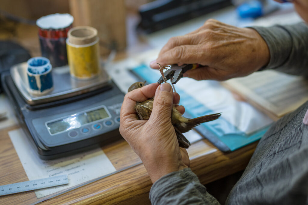 McGraw_Vincent_mbo-24