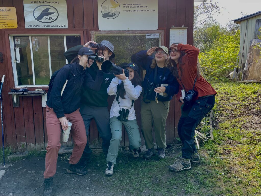 435913979_248946561613745_9079371766979270412_n