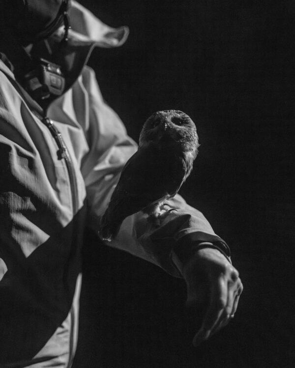 DSCF6390-Enhanced-NR-2