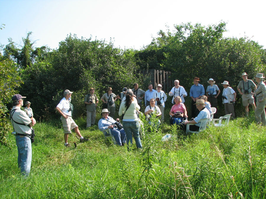 Bird Protection Quebec group visit - July 2006