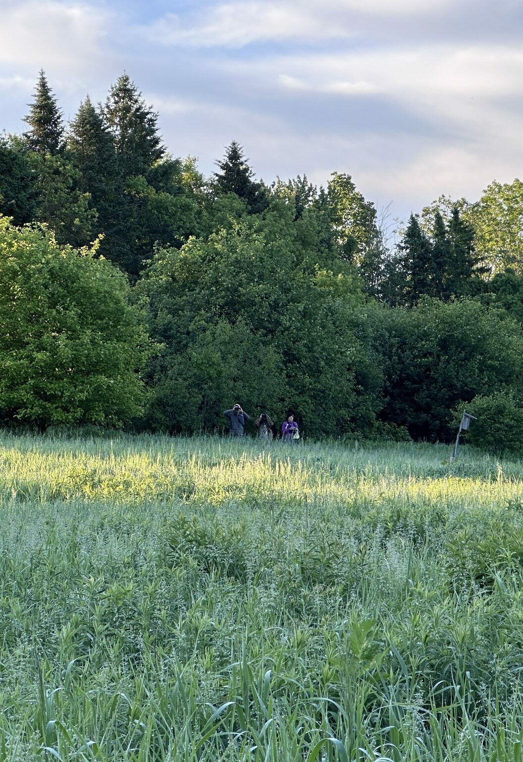 451875088_10159511453361230_3361698930099353053_n